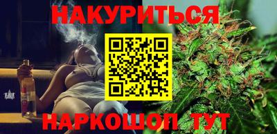 крисы Славгород