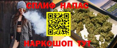 крисы Славгород