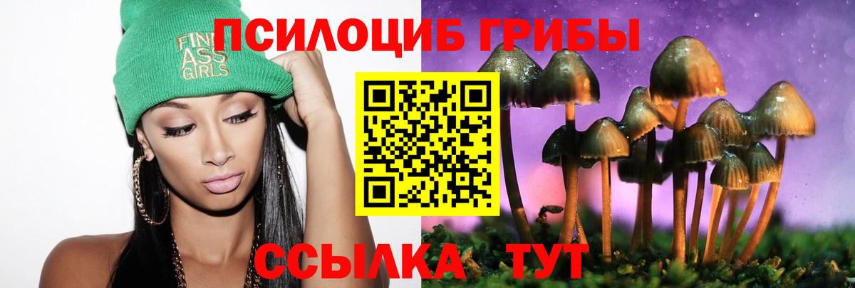 Галлюциногенные грибы MAGIC MUSHROOMS  Вход с VPN  Нижнекамск  Псилоцибиновые грибы MAGIC MUSHROOMS 